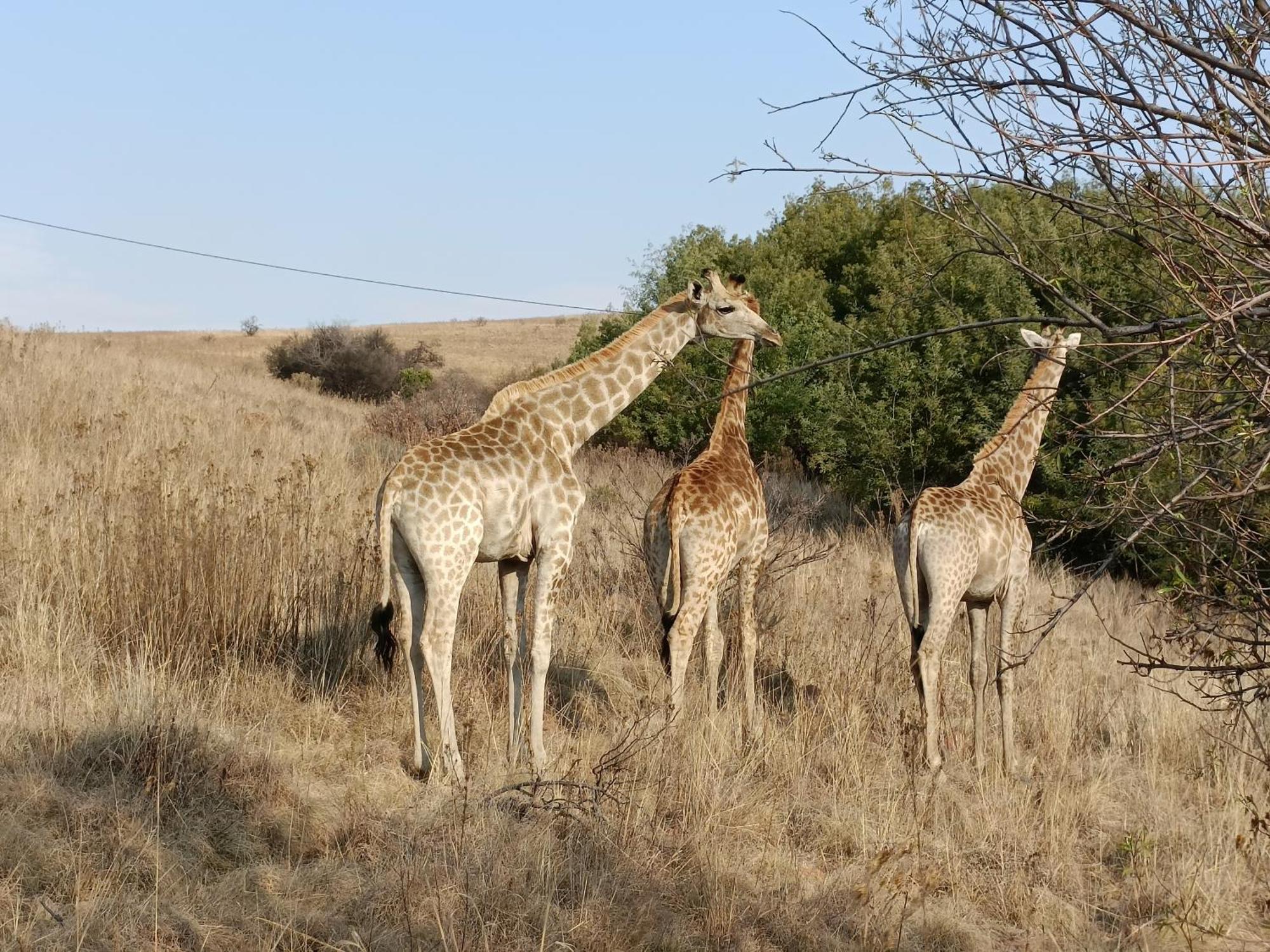 Sedgefield Lodge Witbank Luaran gambar